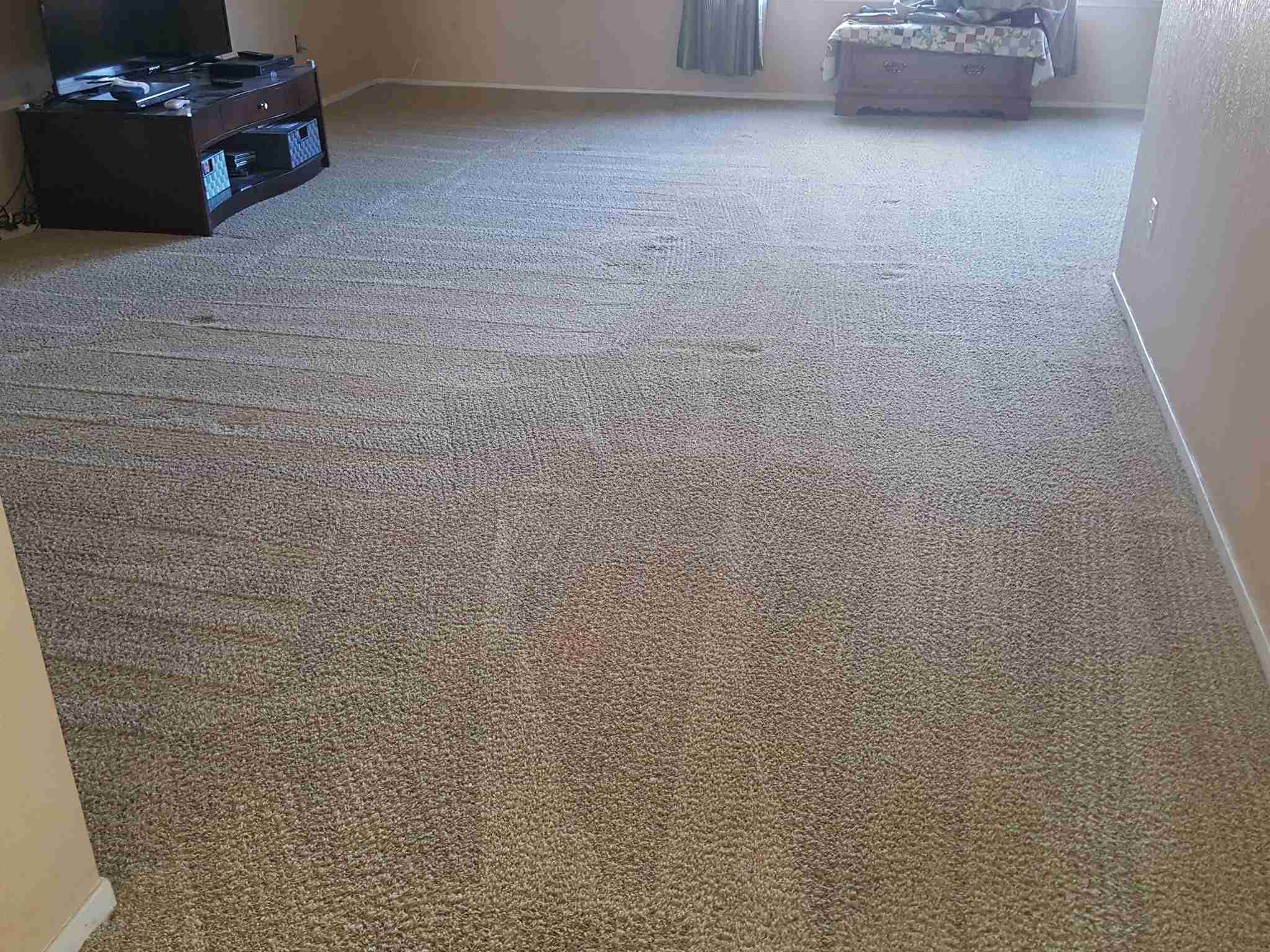 Carpet after Spiker cleaning