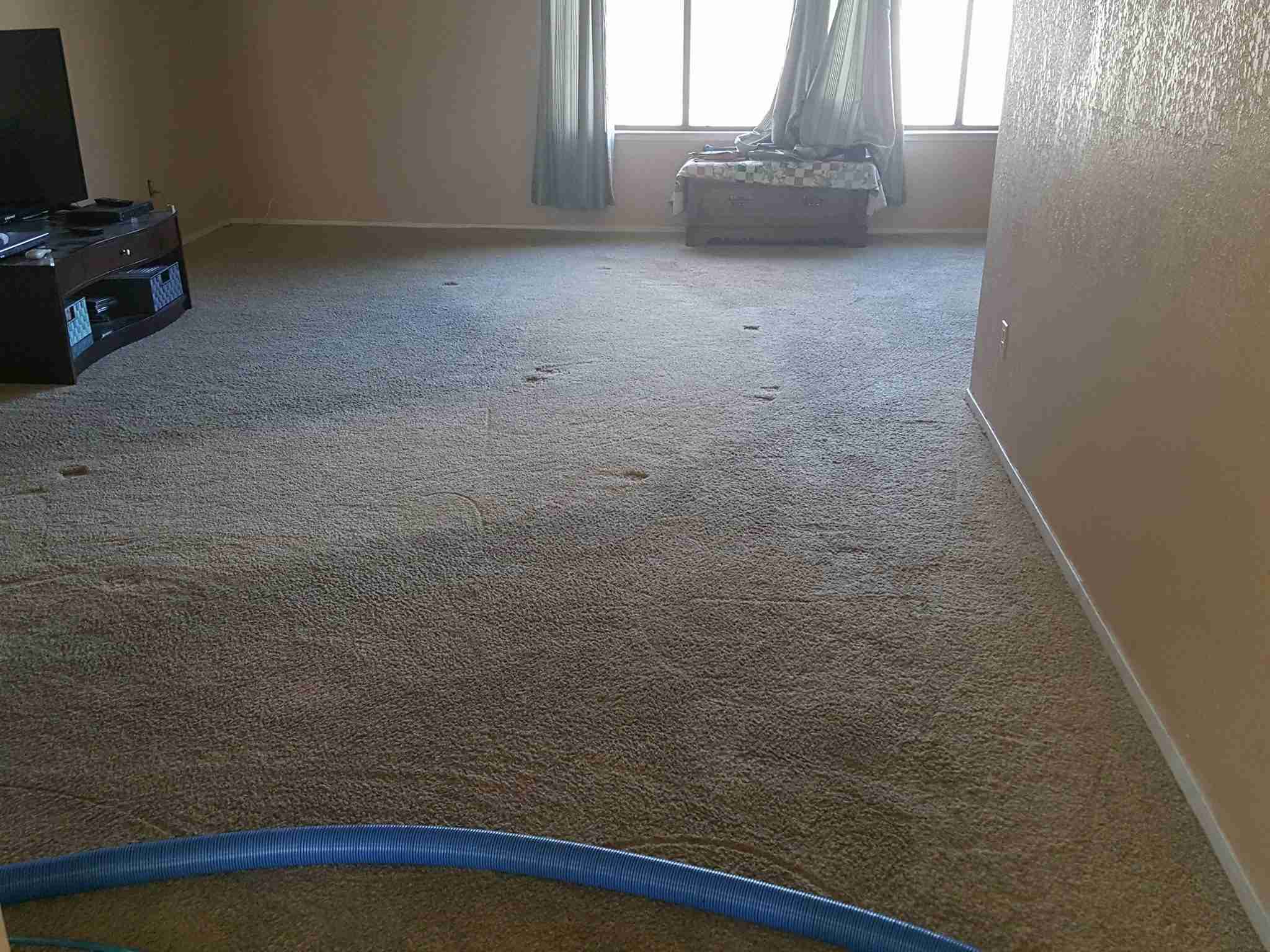 Carpet before Spiker cleaning